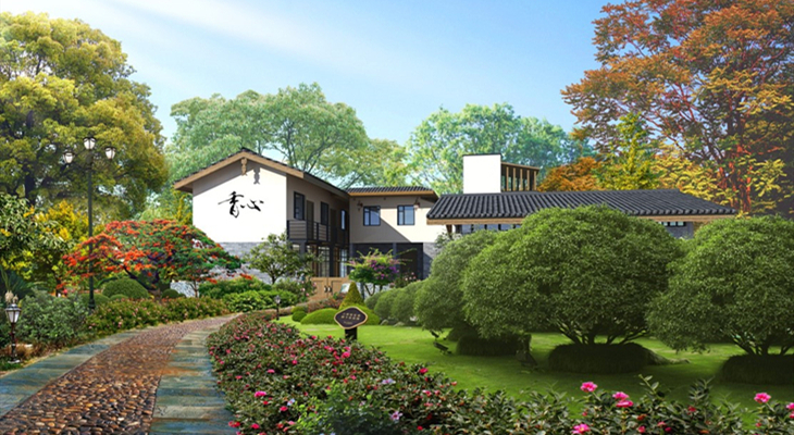 成都天府新区三星镇杨梅小镇改造提升项目