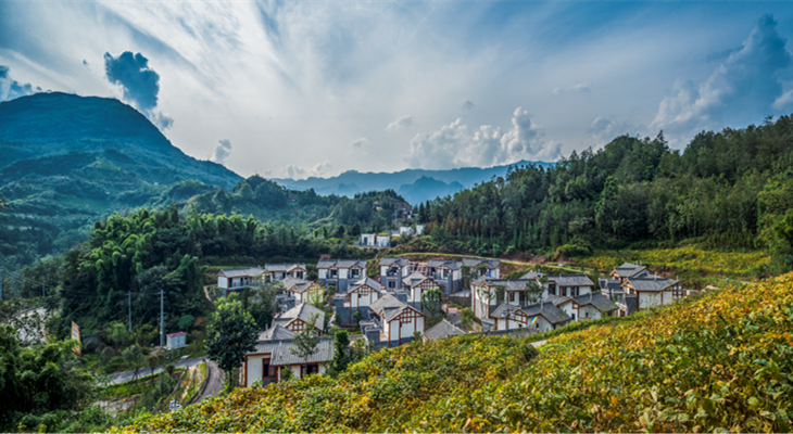 天台山镇青岗林新型社区设计